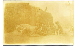 PAYSANS Des Environs De SALONIQUE - PHOTO CARD 1917 - Albanie