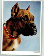 39867207 - Verlag Lengauer Nr.2205 - Dogs