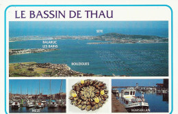 *CPM - 34 - Le Bassin De Thau - Multivue - Andere & Zonder Classificatie