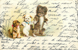 FAMILLE - CHIENS ET CHIOT  - Dogs