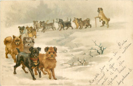 CPA  CHIEN -  BELLE ILLUSTRATION DE CHIENS  EN RANG PAR DEUX - Hunde