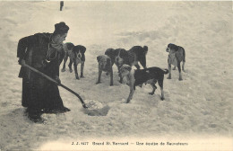 SUISSE  - GRAND ST BERNARD - UN EQUIPE DE SAUVETEURS - Honden