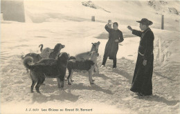 SUISSE  -  LES CHIENS AU GRAND ST BERNARD  - Perros