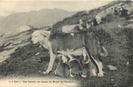 CPA  CHIEN  - UNE FAMILLE DE CHIENS DU GRAND ST BERNARD - Hunde