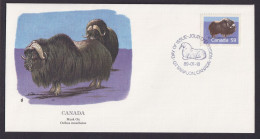 Canada Kanada Nordamerika Fauna Mochusochse Schöner Künstler Brief - Storia Postale