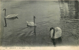 74 - ANNECY -  LES CYGNES - CACHET CONVOYEUR  MONTBRISON A LYON - Annecy