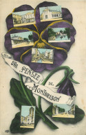 42 -  UNE PENSEE DE MONTBRISON - Montbrison