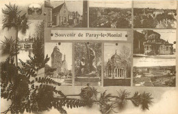 71 - SOUVENIR DE PARAY LE MONIAL - Paray Le Monial