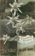 73 - SOUVENIR DE MODANE - Modane