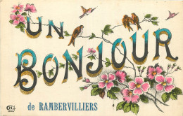 88 - UN BONJOUR DE RAMBERVILLIERS - Rambervillers