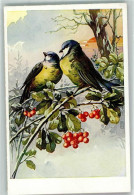 39626807 - Sign. Cerneho P.  Vogelbeeren - Birds