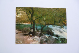 FONTAINE De VAUCLUSE  -  84  - Le Gouffre Par Hautes Eaux   -  Vaucluse - Andere & Zonder Classificatie