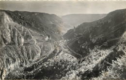 48 - GORGES DU TARN -  LE CIRQUE DES BAUMES VU DU POINT SUBLIME - Autres & Non Classés