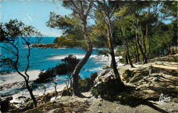 06 - COTE D'AZUR - CHEMIN DU BORD DE MER - Autres & Non Classés