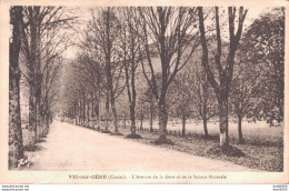 15 VIC SUR CERE L'AVENUE DE LA GARE ET DE LA SOURCE MINERALE - Sonstige & Ohne Zuordnung