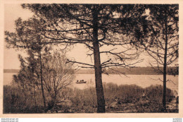 33 CENTRES DE VACANCES ENVIRONS DU CAMP DE LACANAU OCEAN VUE SUR L'ETANG DE MOUTCHIC - Autres & Non Classés