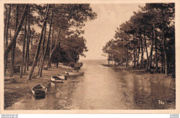 33 CENTRES DE VACANCES ENVIRONS DU CAMP DE LACANAU OCEAN VUE SUR L'ETANG DE CARCANS - Autres & Non Classés