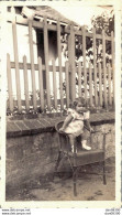 PHOTO DE 11 X 6.5 CMS UNE FILLETTE DEBOUT SUR UN FAUTEUIL EN ROTIN EN 1941 - Anonyme Personen