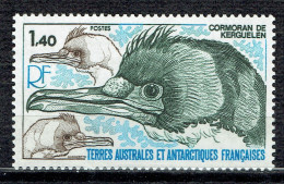 Cormoran De Kerguelen - Neufs