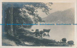 R031489 Near Ferry. Windermere. Abraham. No 313. RP - Mondo