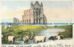 R031497 Whitby Abbey. 1903 - Mondo