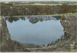 41 - Souvigny-en-Sologne  -  Vue Aérienne  -  L'Etang Des Gas - Otros & Sin Clasificación