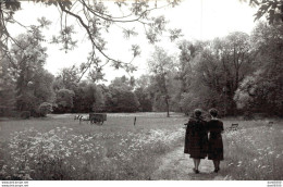 CARTE PHOTO NON IDENTIFIEE REPRESENTANT DEUX FEMMES MARCHANT SUR UN CHEMIN PLUS LOIN ATTELAGE - A Identificar