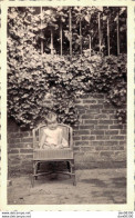 PHOTO DE 11 X 6.5 CMS BEBE ASSIS DANS UN FAUTEUIL EN ROTIN  EN SEPTEMBRE 41 - Anonymous Persons