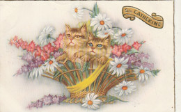  ***  CHATS *** CHATTS CHATONS  --  Chatons Chat Et Fleurs Série 406 TTB  - Cats
