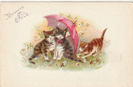  ***  CHATS *** CHATTS CHATONS  --   Chatons  Et Parapluie  1931 -- Bonne Fête  - Cats