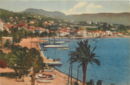 83 - BANDOL SUR MER -  VUE D'ENSEMBLE - Bandol