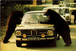 N°1978 W -cpsm Bmw 2002 Ti - Toerisme