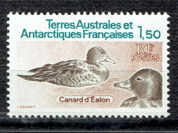 Faune : Canards D'Eaton - Neufs