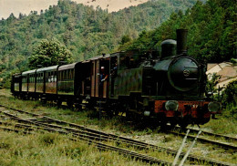 N°1979 W -cpsm Ligne Anduze Saint Jean Du Gard -le Transcévenol- - Treinen