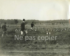 CHASSE à COURRE Vers 1930 Venerie Chiens Meute Photo 17,9 X 22,8 Cm - Autres & Non Classés