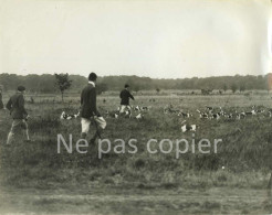 CHASSE à COURRE Vers 1930 Venerie Chiens Meute Photo 17,9 X 22,8 Cm - Andere & Zonder Classificatie