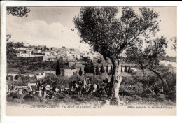 Sidi Bou Said Vue Entre Les Oliviers - Tunesien