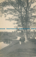 R031531 Old Postcard. Lake And A Man With Dog Near The Tree - World