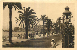 06 - CANNES - ALLEE DE PALMIERS - Cannes