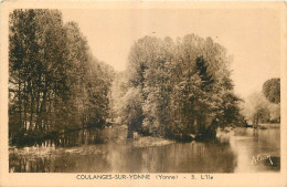 89 - COULANGES SUR YONNE  - L'ILE - Coulanges Sur Yonne