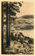 88 - GERARDMER UN COIN DU LAC - Edition Roeder - Gerardmer