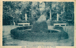 83 - DRAGUIGNAN - LE JARDIN DES PLANTES - 1076 - Draguignan