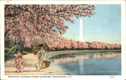 11671279 Washington DC Japanese Cherry Blossoms Potomac Parc  - Washington DC