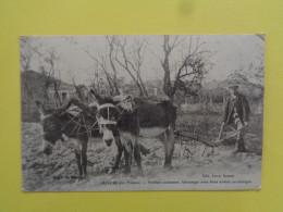 86 - Vienne - Mirebeau - Vieilles Coutumes , Labourage Avec Ane Attelé En Guinpes - Beau Plan - Réf.77A - - Mirebeau