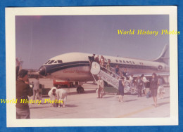 Photo Ancienne Snapshot - TANGER , Maroc - Arrivée D'un Avion AIR FRANCE - Royal Air Maroc - Hotesse De L' Air - Aviación