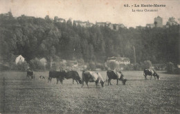 CHAUMONT : LA HAUTE MARNE - LE VIEUX CHAUMONT - Chaumont