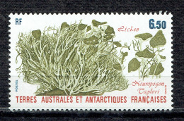 Flore Antarctique : Neuropogon Taylori - Unused Stamps