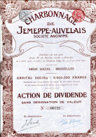 CHARBONNAGE De JEMEPPE-AUVELAIS; Action De Dividende - Mineral