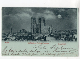 453 - BRUXELLES - SS Michel Et Gudule * Carte Dite "à La Lune" *1898* - Monuments