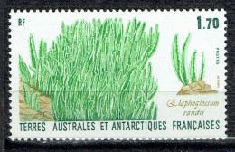 Flore Antarctique : Elaphoglossum Randii - Unused Stamps